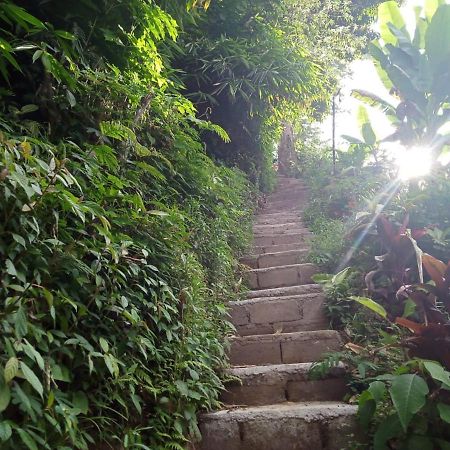 Eco Bedugul Adventurer Camp Bed & Breakfast Exterior photo