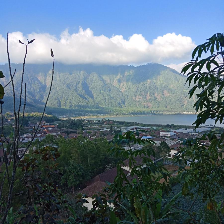 Eco Bedugul Adventurer Camp Bed & Breakfast Exterior photo