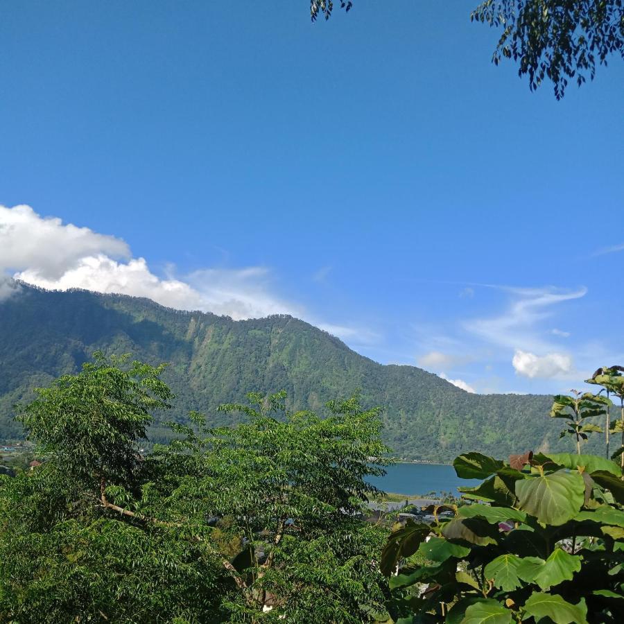 Eco Bedugul Adventurer Camp Bed & Breakfast Exterior photo