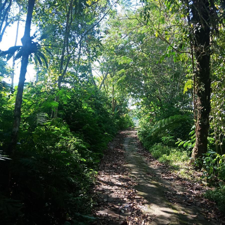Eco Bedugul Adventurer Camp Bed & Breakfast Exterior photo