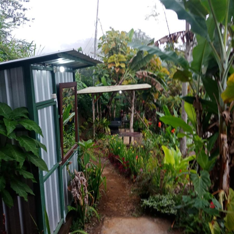 Eco Bedugul Adventurer Camp Bed & Breakfast Exterior photo