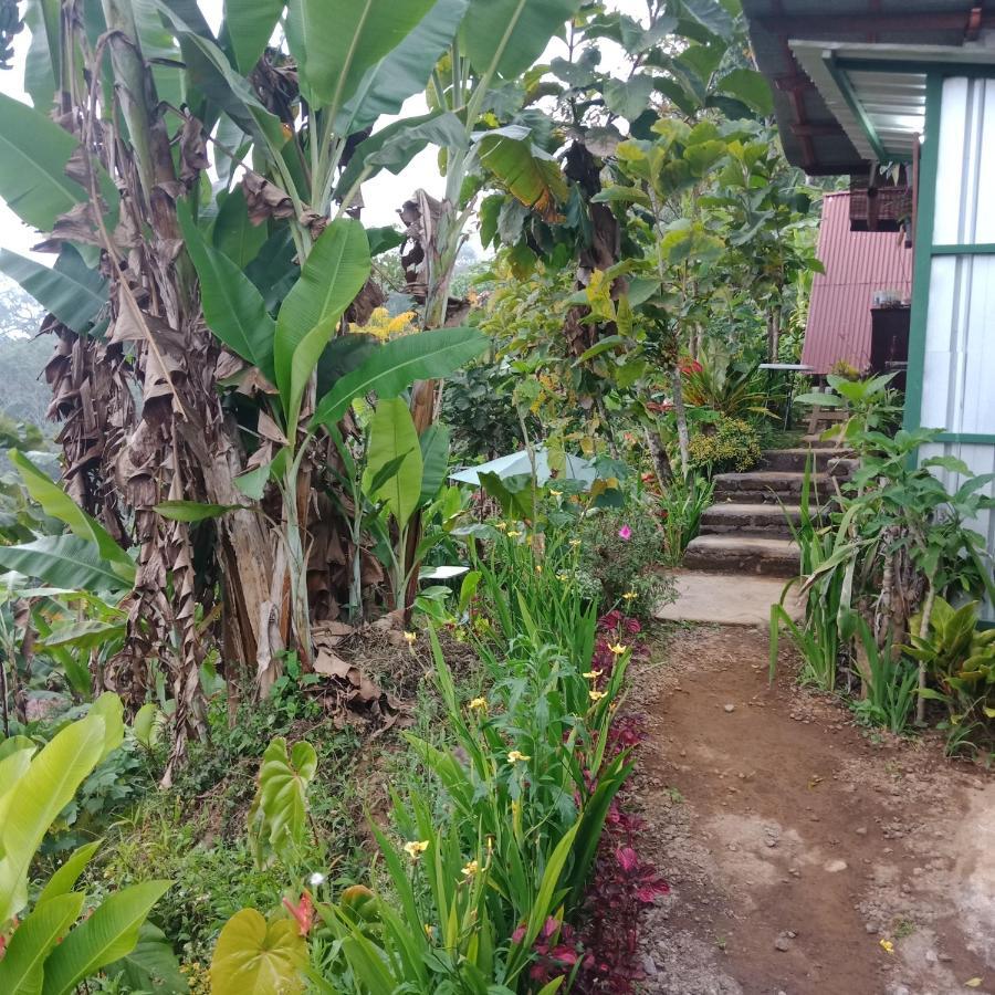 Eco Bedugul Adventurer Camp Bed & Breakfast Exterior photo