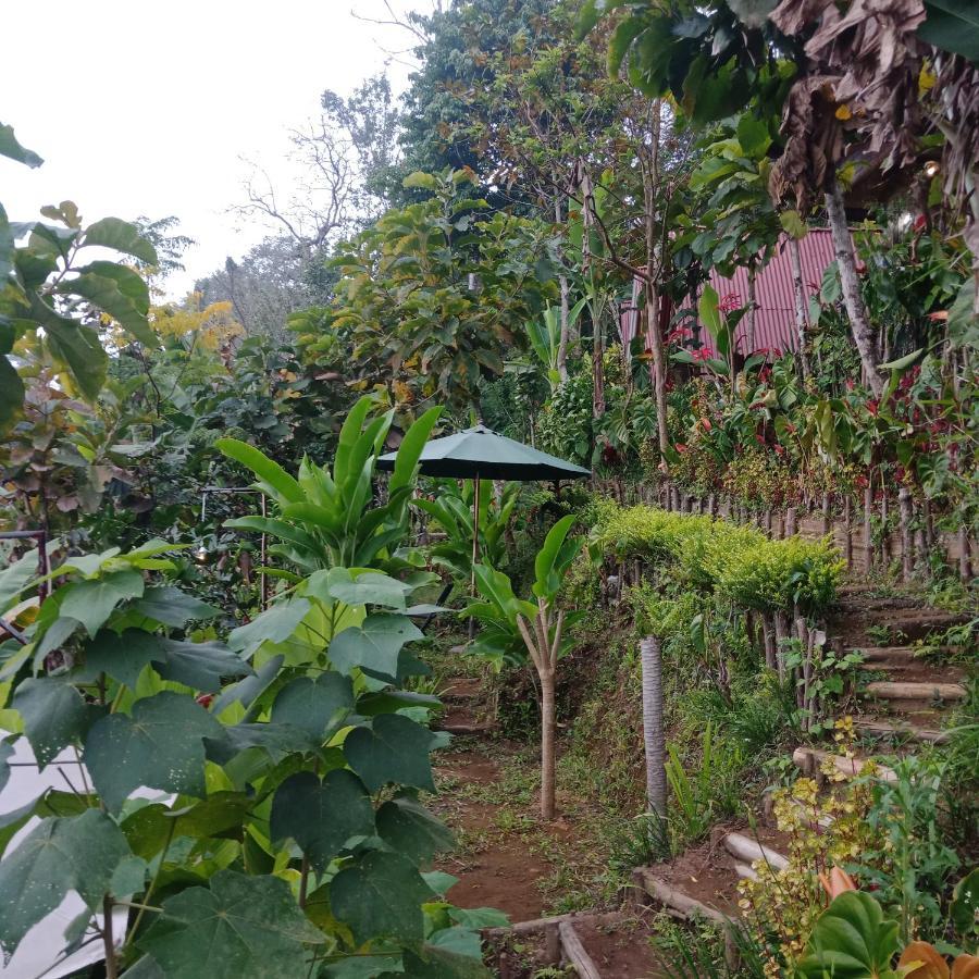 Eco Bedugul Adventurer Camp Bed & Breakfast Exterior photo