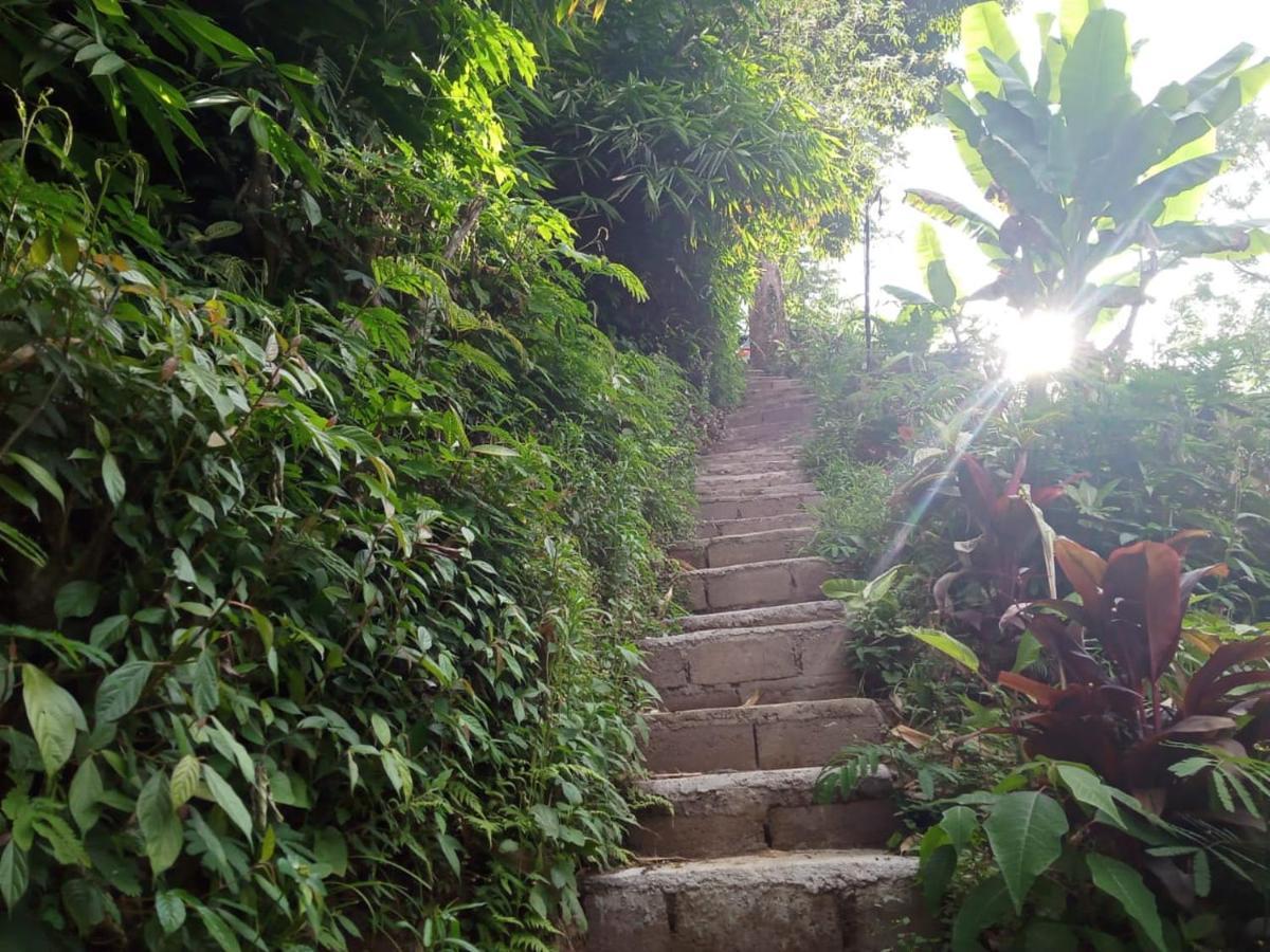 Eco Bedugul Adventurer Camp Bed & Breakfast Exterior photo